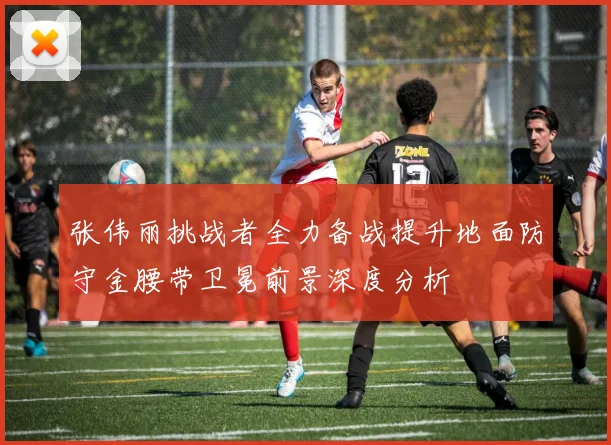 张伟丽挑战者全力备战提升地面防守金腰带卫冕前景深度分析